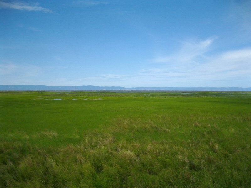 Вид на Байкал из устья Селенги. Видны белые барашки на волнах, 