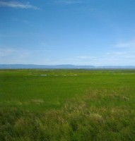 Вид на Байкал из устья Селенги. Видны белые барашки на волнах. 