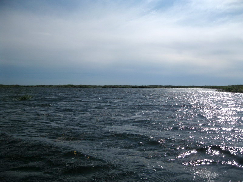Протока устья Селенги в двух километрах от Байкала, 
