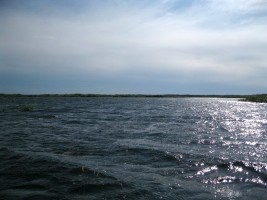 Протока устья Селенги в двух километрах от Байкала. 