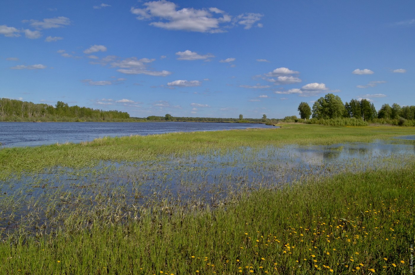 Высокая вода залила прибрежные луга, Location: Река Тура. Ярковский район, Тюменская область, Россия.