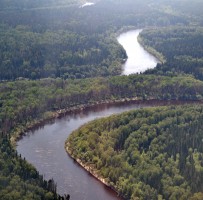 Два меандра, близко подходящие друг к другу, Location: Река Демьянка. Уватский район, Тюменская область, Россия.