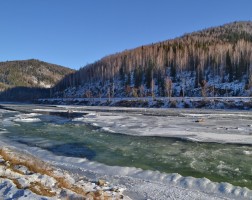 В сорока метрах от этого места проходит моя вторая зимовка, Location: Река Томь. Село Балыкса, Аскизский район, Республика Хакасия, Россия.
